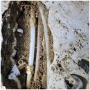 보승기업 - 태안군 상도로 148-24 | 보승기업