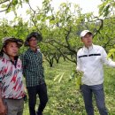 곡성-176 이미지