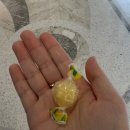 사평대로55길 51-13 | 25년 11월 일상속으로ദ്ദിᐢ- ̫-ᐢ₎