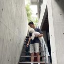 인스 이미지
