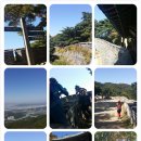 동산초등길 이미지