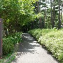 복정동 행정복지센터 이미지