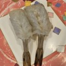 수원-1732 | [수원 아주대] "가츠 스시" 회전 초밥 맛집 솔직후기