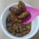 아찌커피 이미지