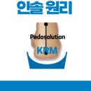 페도솔루션 이미지