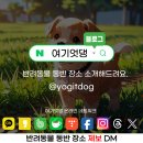 금능식품 이미지