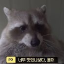 하늘만큼땅만큼