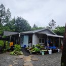 돌담과 초록 이미지