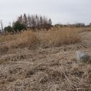 금와습지 생태공원 이미지