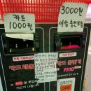 꿀잼동전노래연습장 이미지