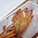 내내농수산 | 영덕농수산 홍게 3kg 솔직 후기🦀💖