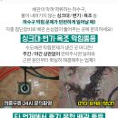 정자헌내과의원 네이버블로그