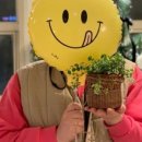 라탄위빙 이미지