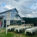 국제커플 한국 결혼준비) 2025년 3월 계약 완료 부산 기장 하우스웨딩 그레이스K 방문 후기