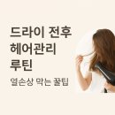 우리드라이방 | 드라이 전후 헤어관리 루틴열손상 막는 꿀팁｜손상모 복구는 루틴이 완성한다