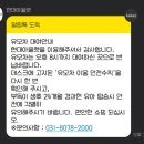 현대애견 이미지