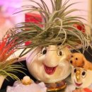 마츄피츄 이미지