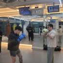 복싱그자체 이미지