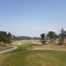 알펜시아 700 골프클럽 이미지