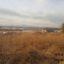 여주-1135 네이버블로그