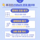 홍지인 이미지