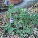 환영농장 이미지