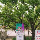 왕비화장품 | 2026 봄 궁중문화축전 : 창경궁 왕비의 취향 체험 후기(선물용 보자기 포장 방법)
