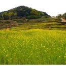 남해-137 이미지