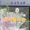 [오송] 모아플라워, 오송꽃집, 방문후기, 내돈내산