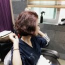 쎄미헤어 이미지