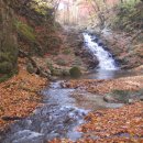 마음의안경 이미지