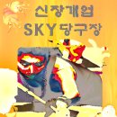 SKY당구장 이미지