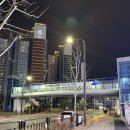 바다회직판장 | 봉담 방어회 포장 맛집, 통큰 회 직판장 솔직 후기