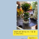 닥터가든경남점 이미지