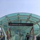 탁구 5반 네이버블로그
