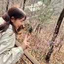 화담다인 | 경기도 광주 화담숲 봄 오픈 첫 날 방문 후기