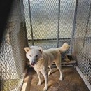 마리 도동마을 이미지