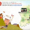 팔도투어