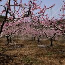 부야경로당 이미지