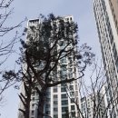 마포그랑자이공인중개사사무소 이미지