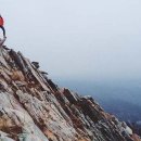 오늘의 양식, 2016년 8월 22일, 1 Corinthians 10:1–13, At Risk of Falling, 넘어질 위험. 이미지