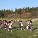 강진태권도체육관 이미지