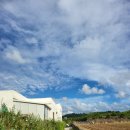 판포따숨 | [제주ㅣ펜션] 가족 힐링여행으로 딱! 제주 판포따숨 독채펜션 솔직 후기 (내돈내산)