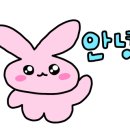 스시키타이 이미지