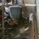 한아름 쉼터 이미지