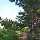 동부타워공인중개사사무소 이미지
