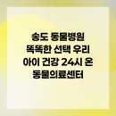 24시 송도 온 동물의료센터 | 송도 동물병원 똑똑한 선택 우리 아이 건강 24시 온 동물의료센터
