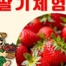 그린농장 이미지