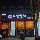 도일참치