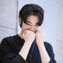 와일드베어
